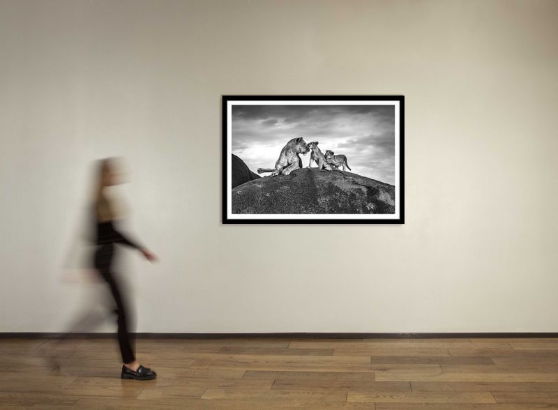 40 x 60 in., edition of 15